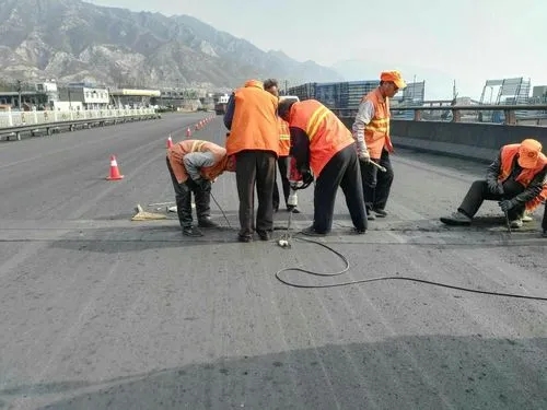 玉林道路桥梁病害治理